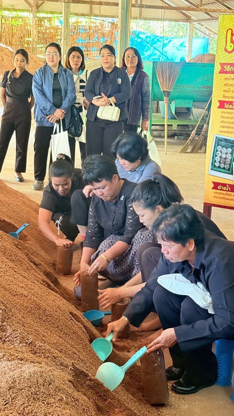 ภาพประมวล 6
