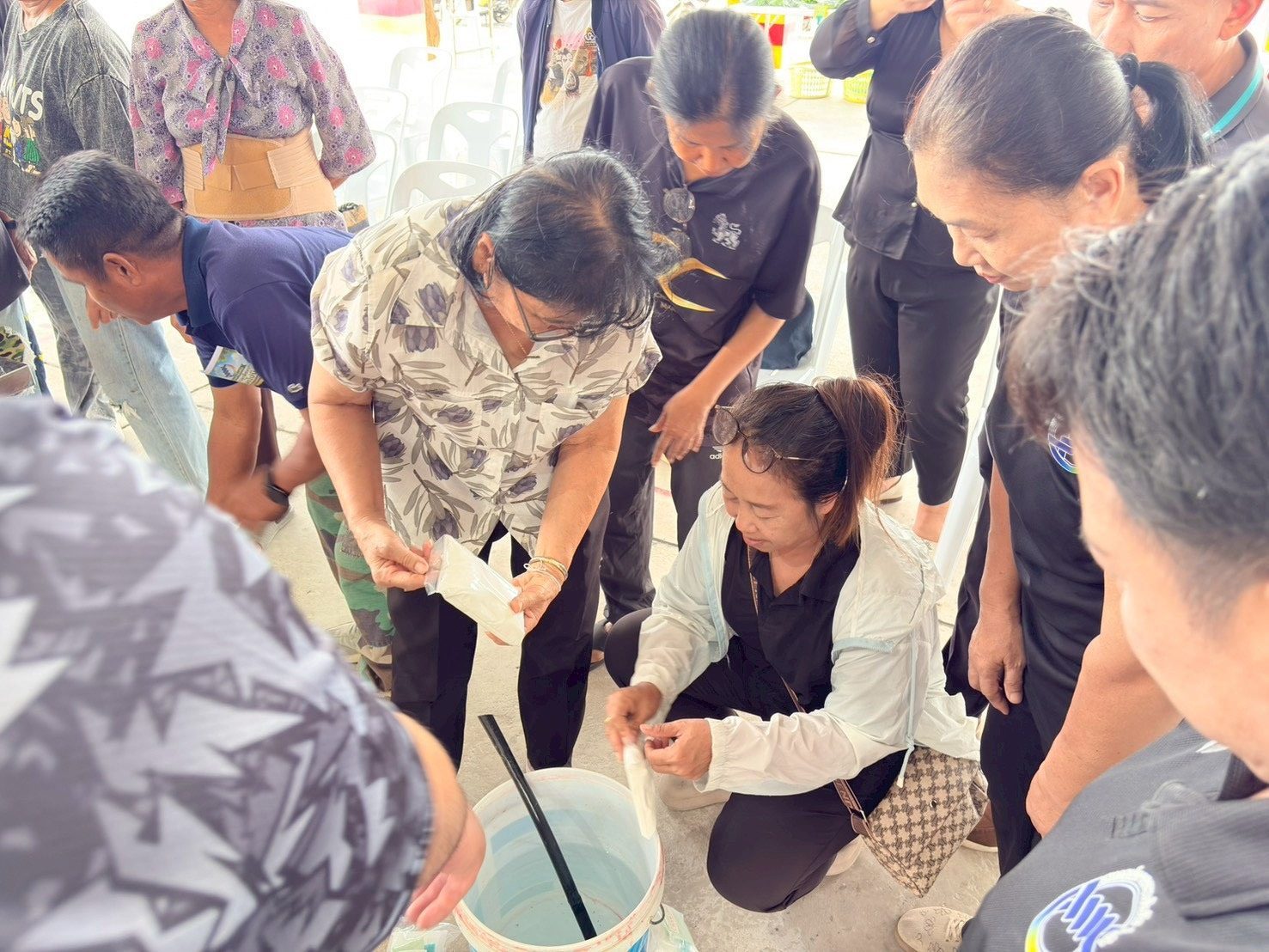 ภาพประมวล 4